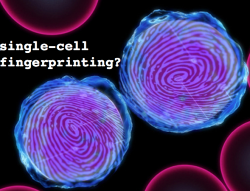 Fingerprinting for multiplexed single-cell RNA-seq