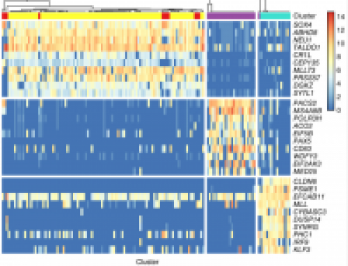 Single-cell analysis improved with consensus clustering
