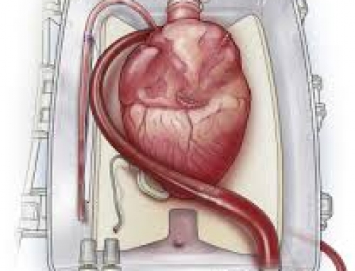 Ex vivo perfusion for donor organs: a BBC Tomorrow’s World special