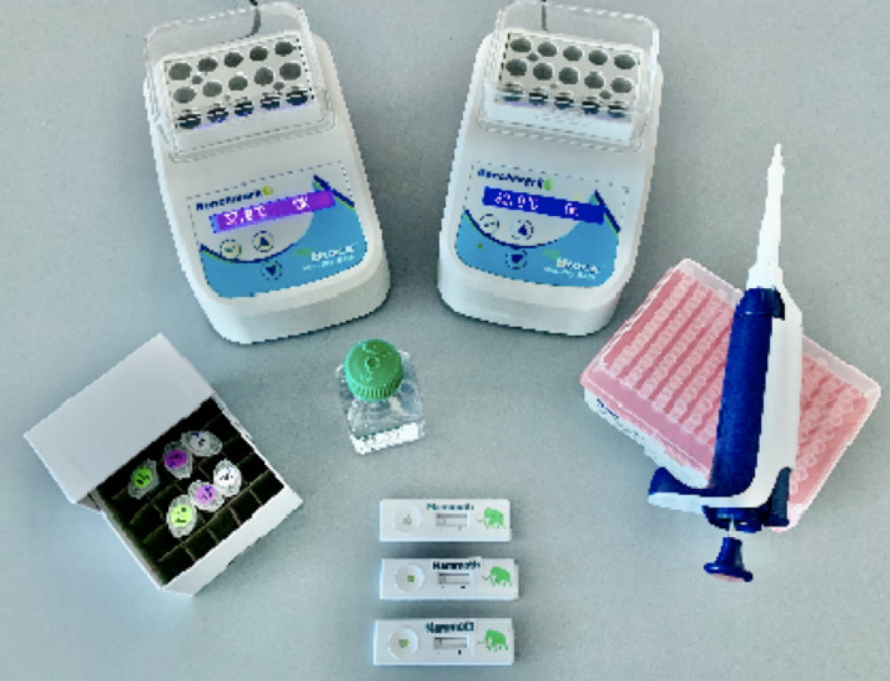 How do SPRI beads work? Enseqlopedia