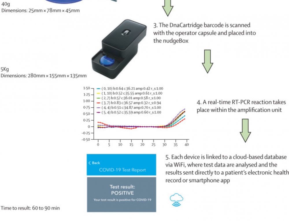 How do SPRI beads work? Enseqlopedia