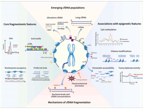 cfDNA fragmentomics reviewed