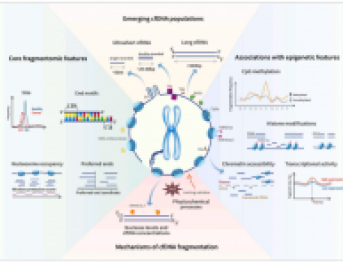 cfDNA fragmentomics reviewed