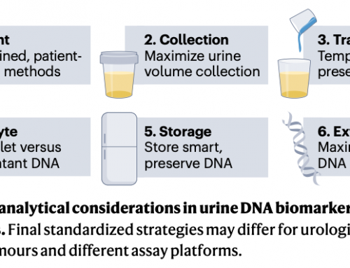 Unlocking the Potential of Urine-Based Liquid Biopsies