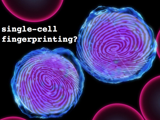 Fingerprinting for multiplexed single-cell RNA-seq