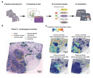 @10XGenomics now does #spatialomics
