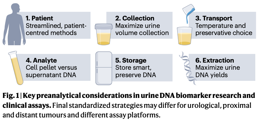 Unlocking the Potential of Urine-Based Liquid Biopsies